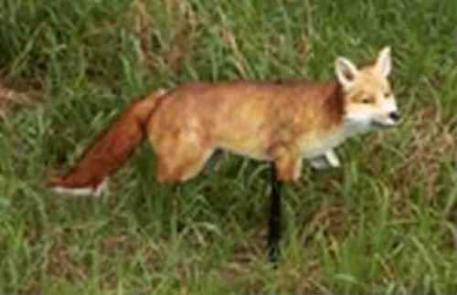 Expedite FoxXY Fox Decoy